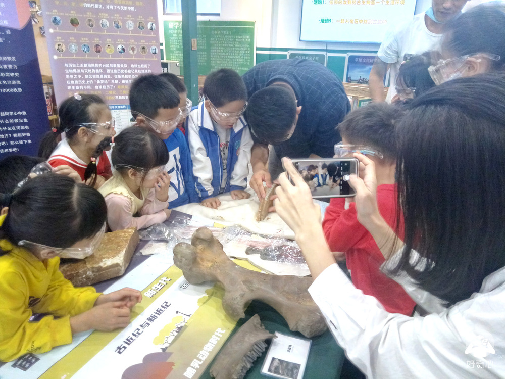 5深圳化石科普开发研究.jpg